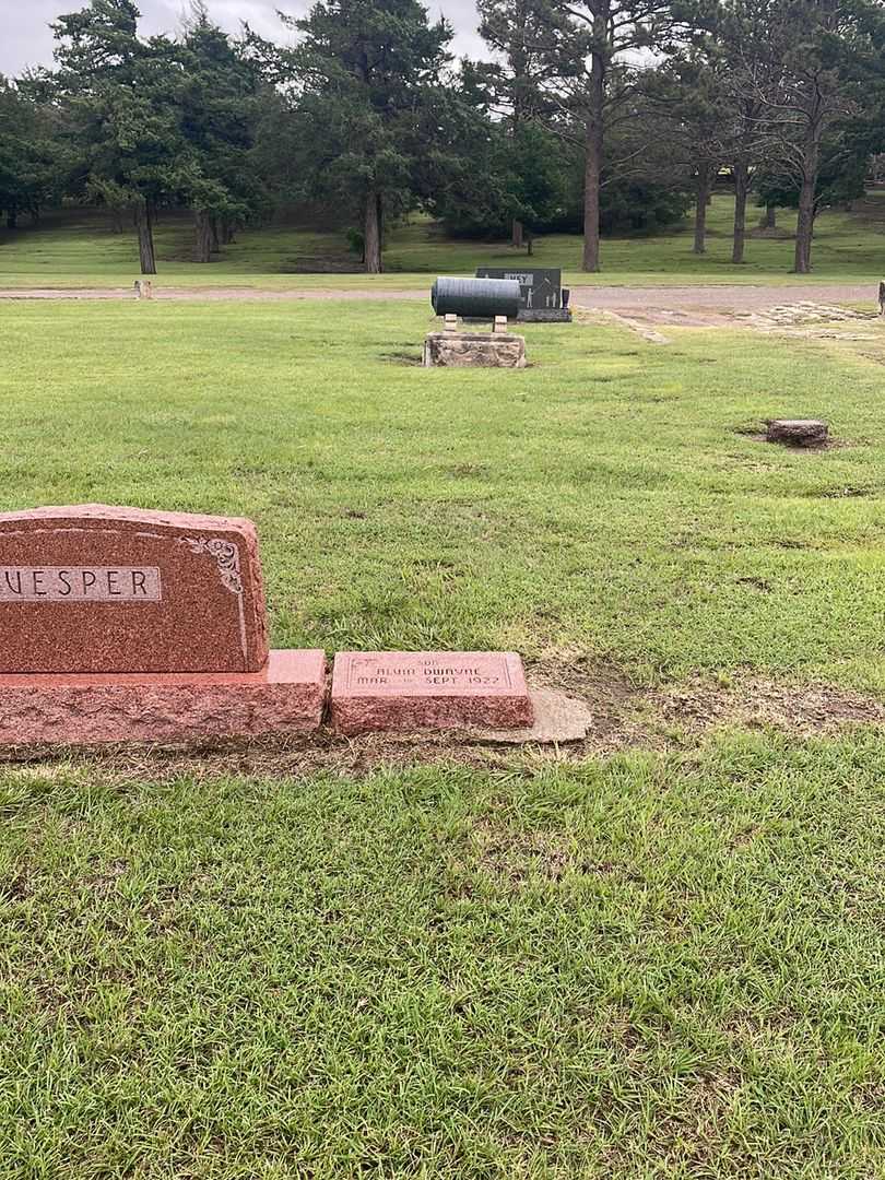 Alvin Dwayne Vesper's grave. Photo 2