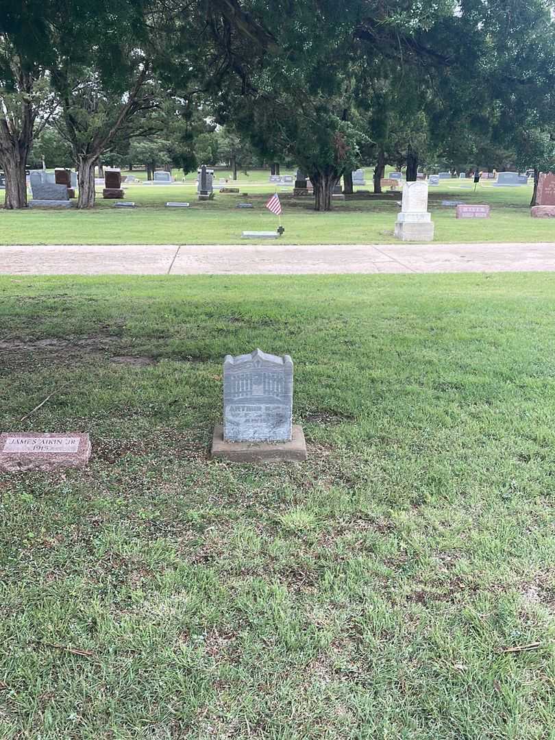 Arthur R. Aikin's grave. Photo 1