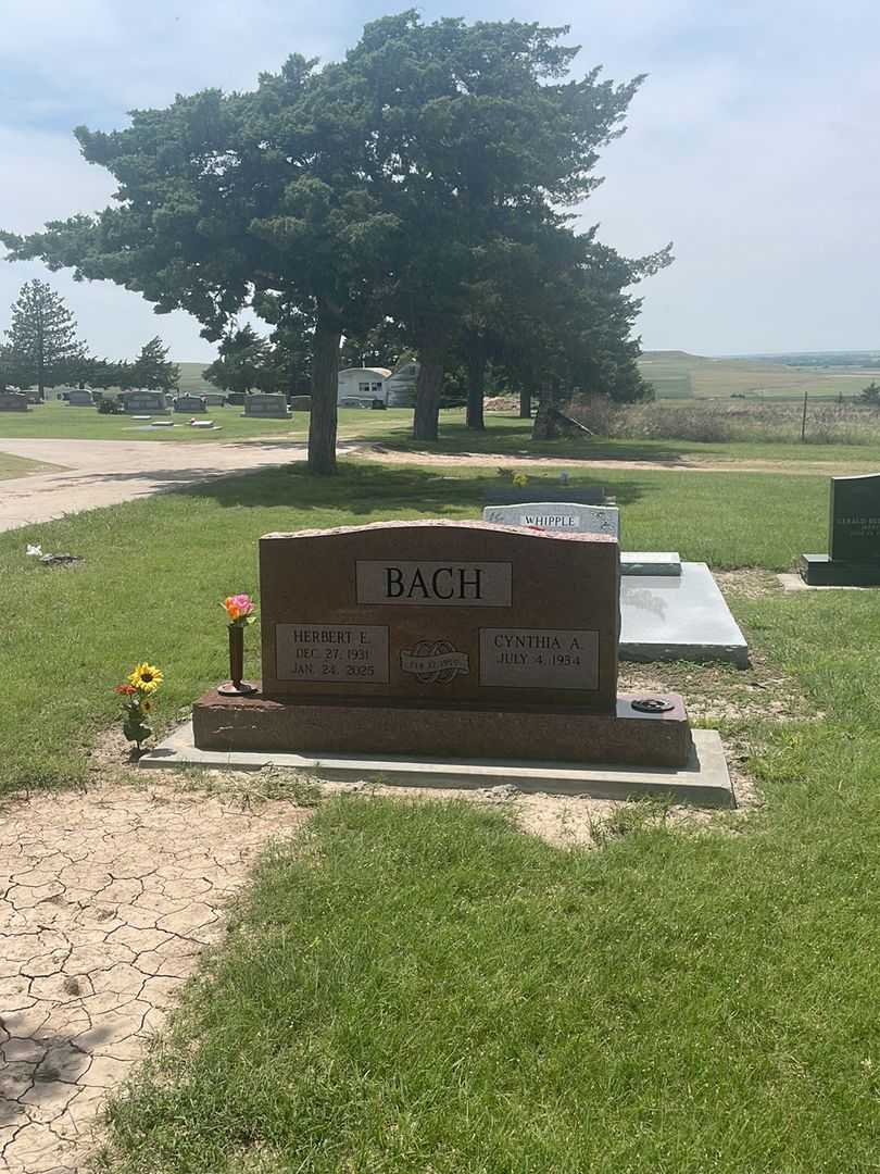 Herbert Eugene Bach's grave. Photo 1