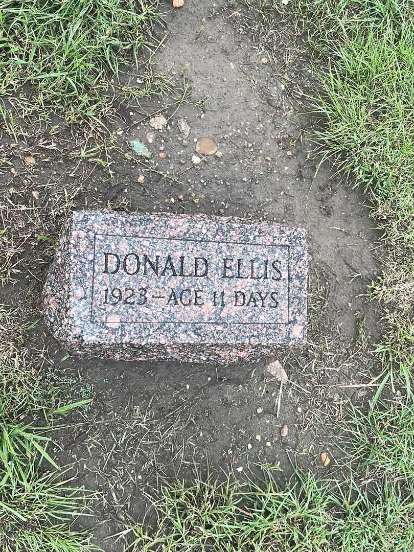 Donald Ellis's grave. Photo 2