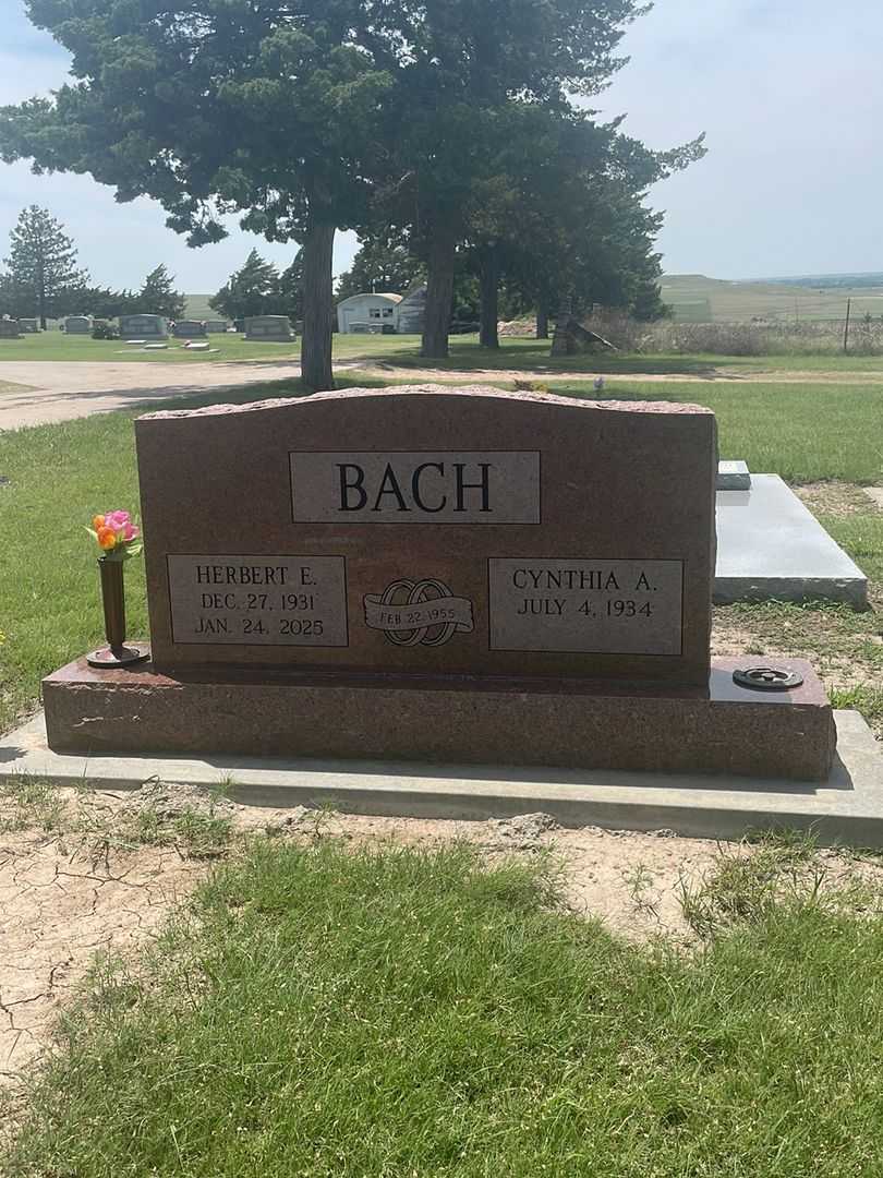 Herbert Eugene Bach's grave. Photo 2