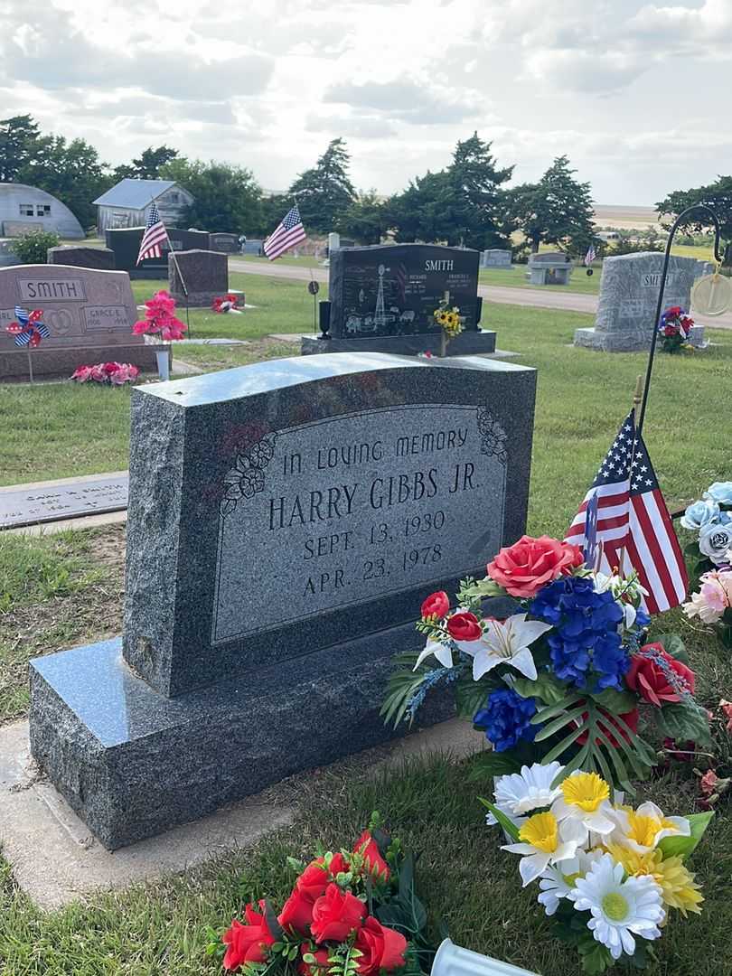 Harry Gibbs Junior's grave. Photo 2