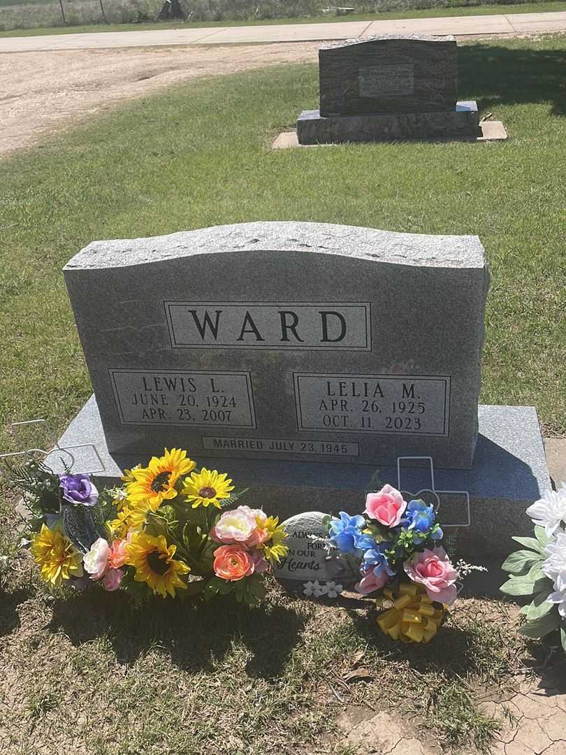 Lewis Lester Ward's grave. Photo 2