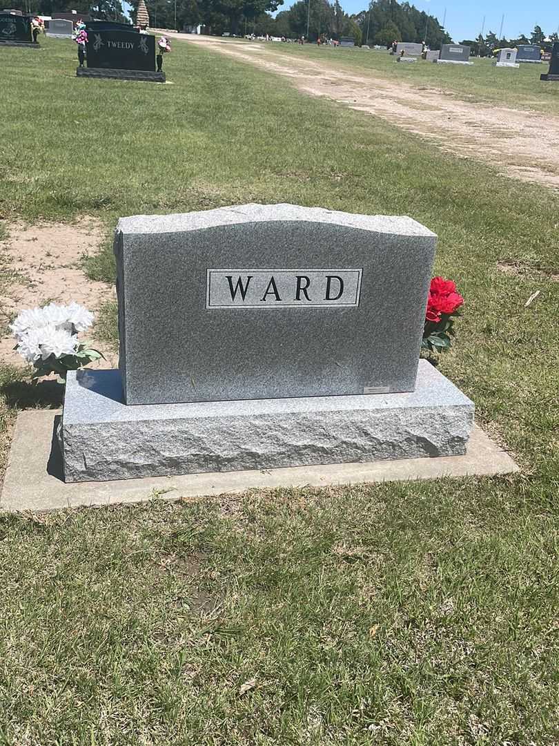 Lewis Lester Ward's grave. Photo 3