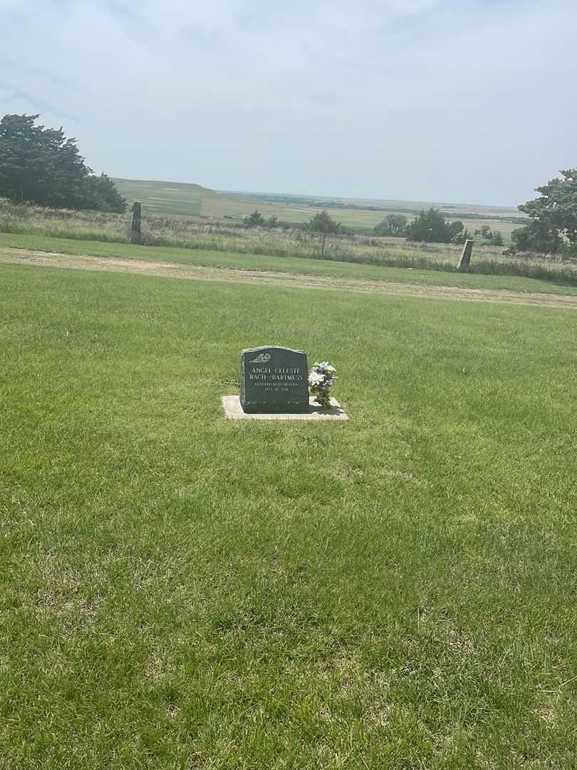 Angel Celeste Bach-Bartmess's grave. Photo 1