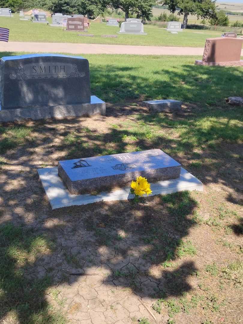 Fannie I. Wade Smith's grave. Photo 2