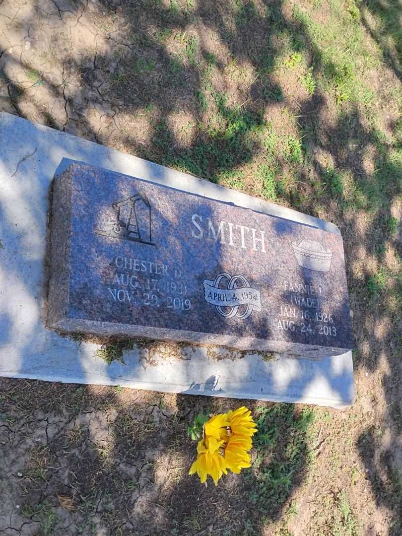 Fannie I. Wade Smith's grave. Photo 3