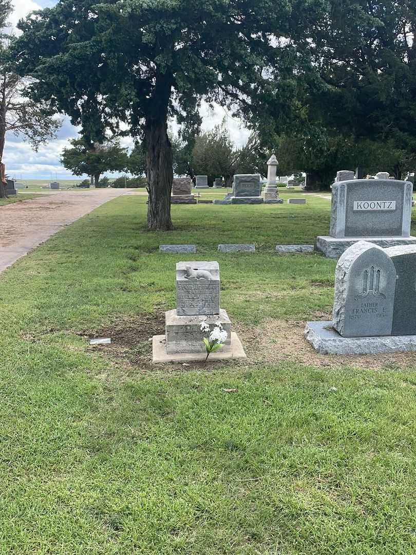 Sylvan E. Ochs's grave. Photo 1