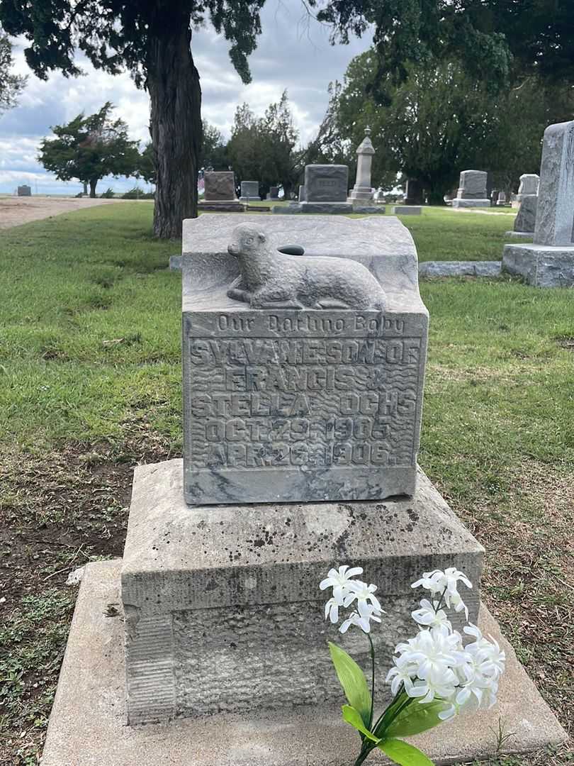 Sylvan E. Ochs's grave. Photo 2