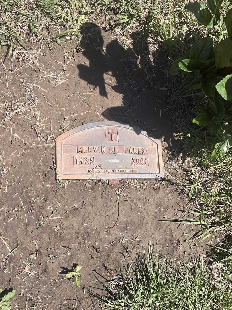 Mervin J. Fakes's grave. Photo 2