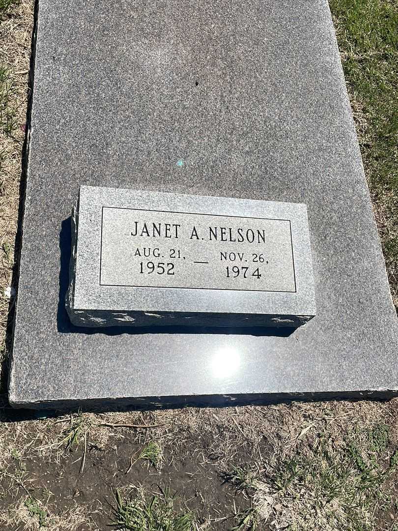 Janet A. Nelson's grave. Photo 2