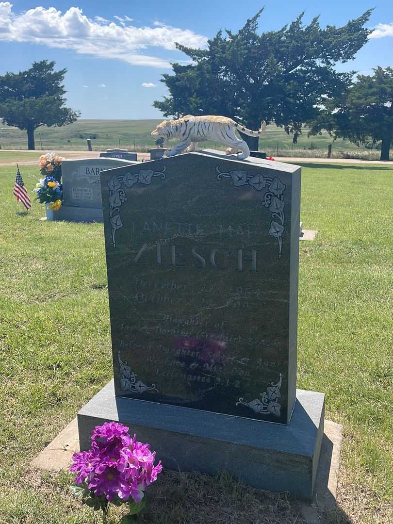 Lanette Mae Ziesch's grave. Photo 2