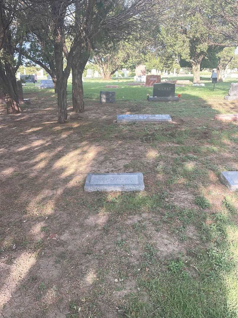 Carl C. Adams's grave. Photo 1
