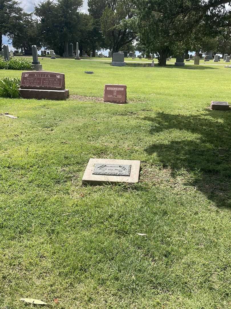 Lottie Lula Holland's grave. Photo 1