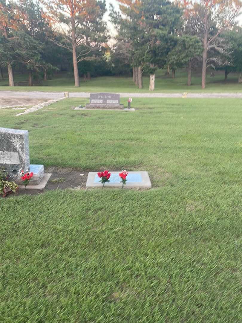 John Lawrence Ochs's grave. Photo 1