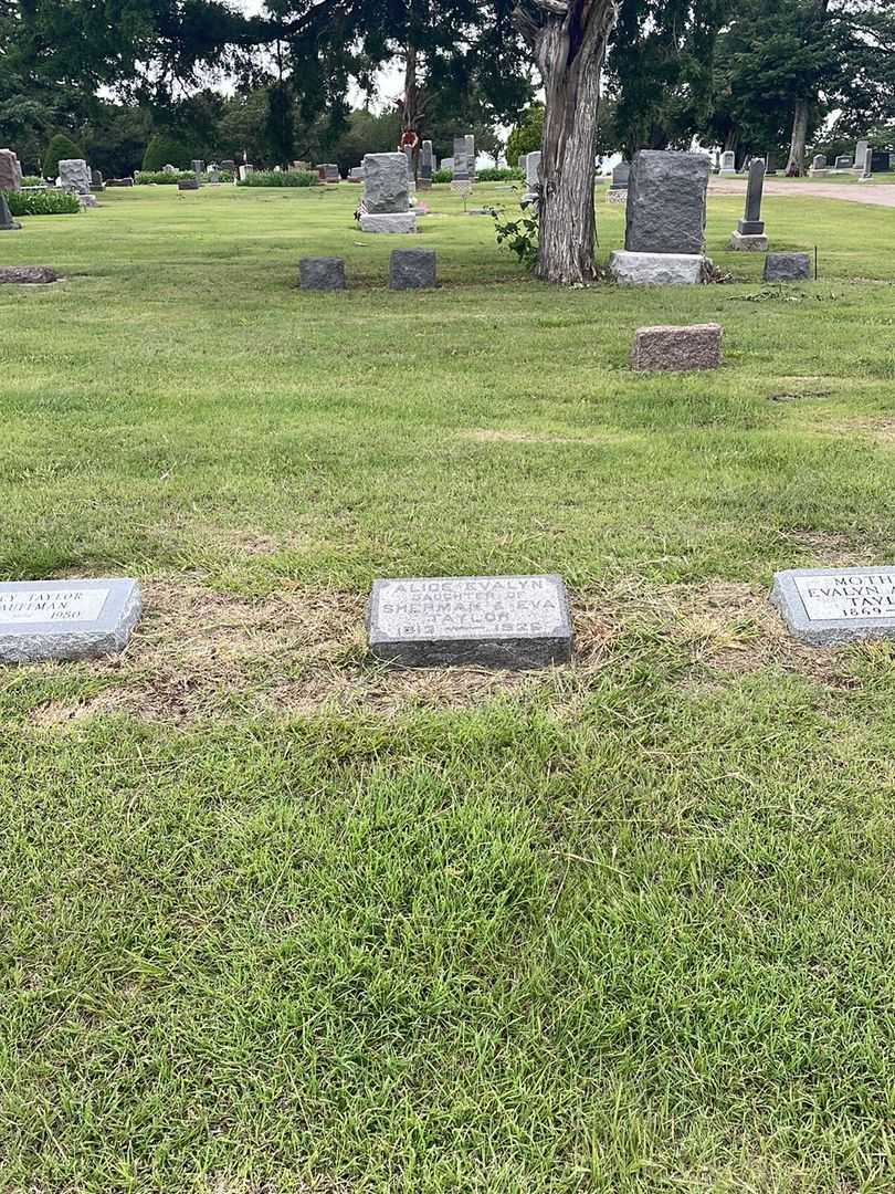 Alice Evalyn Taylor's grave. Photo 2