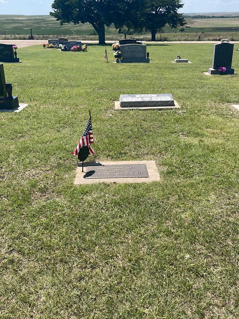 Burton Ray Abel's grave. Photo 3