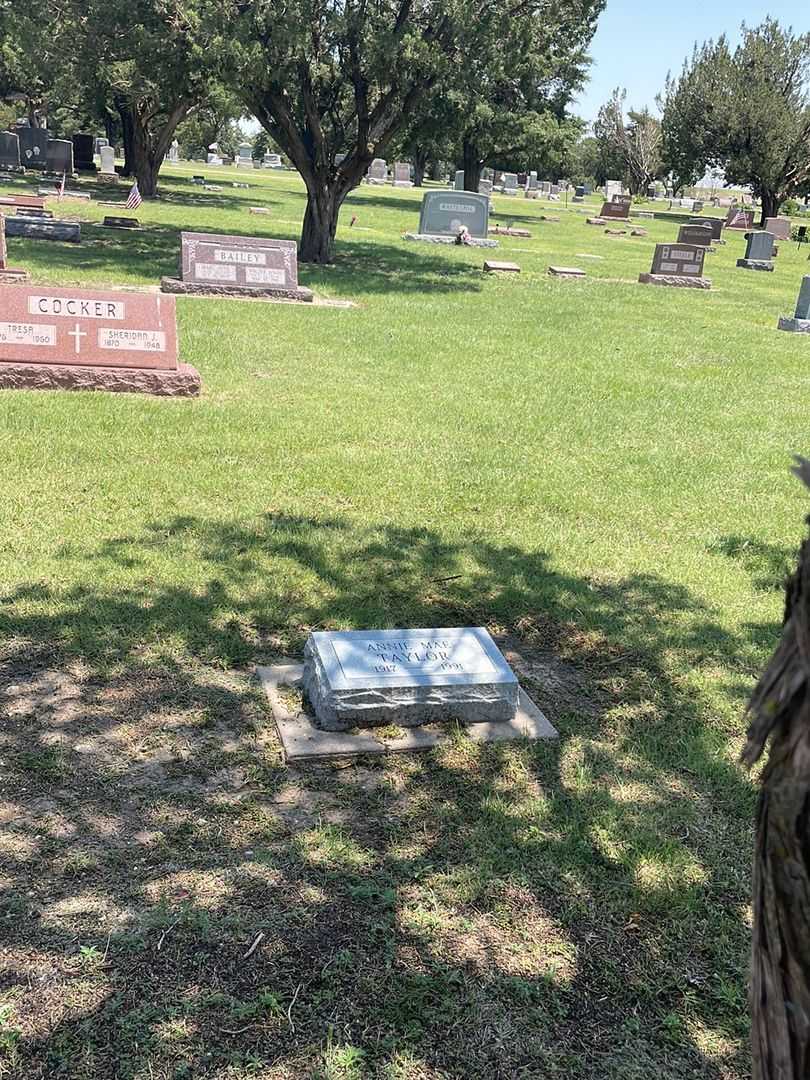 Annie Mae Taylor's grave. Photo 1