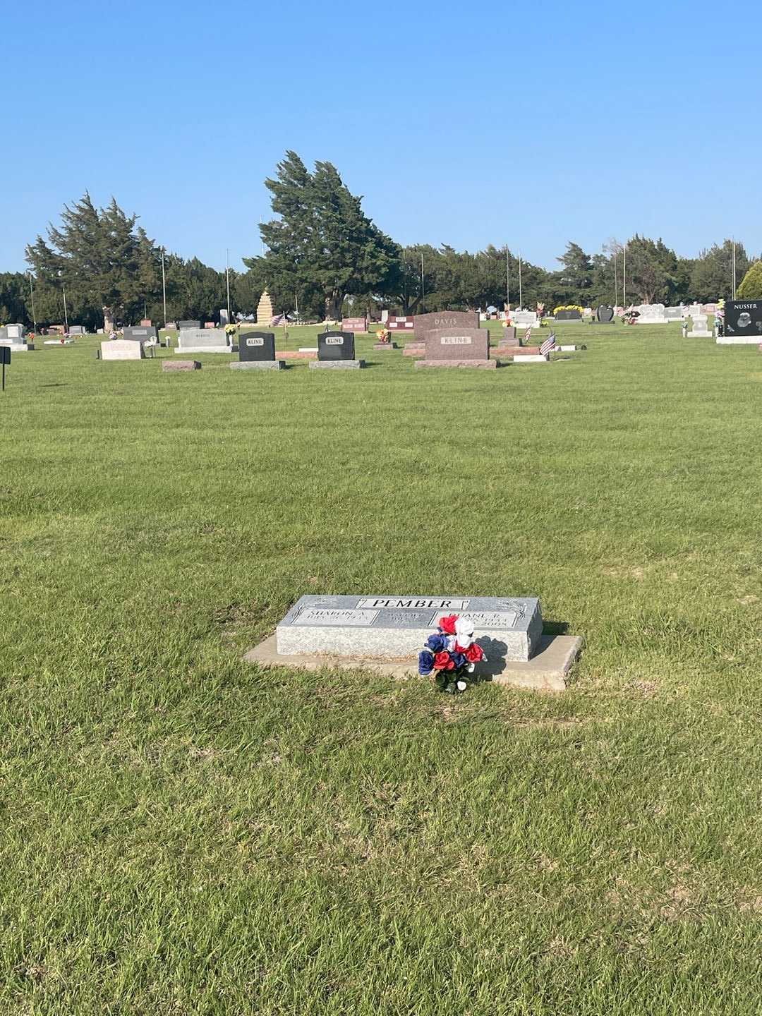 Duane Royce Pember's grave. Photo 1
