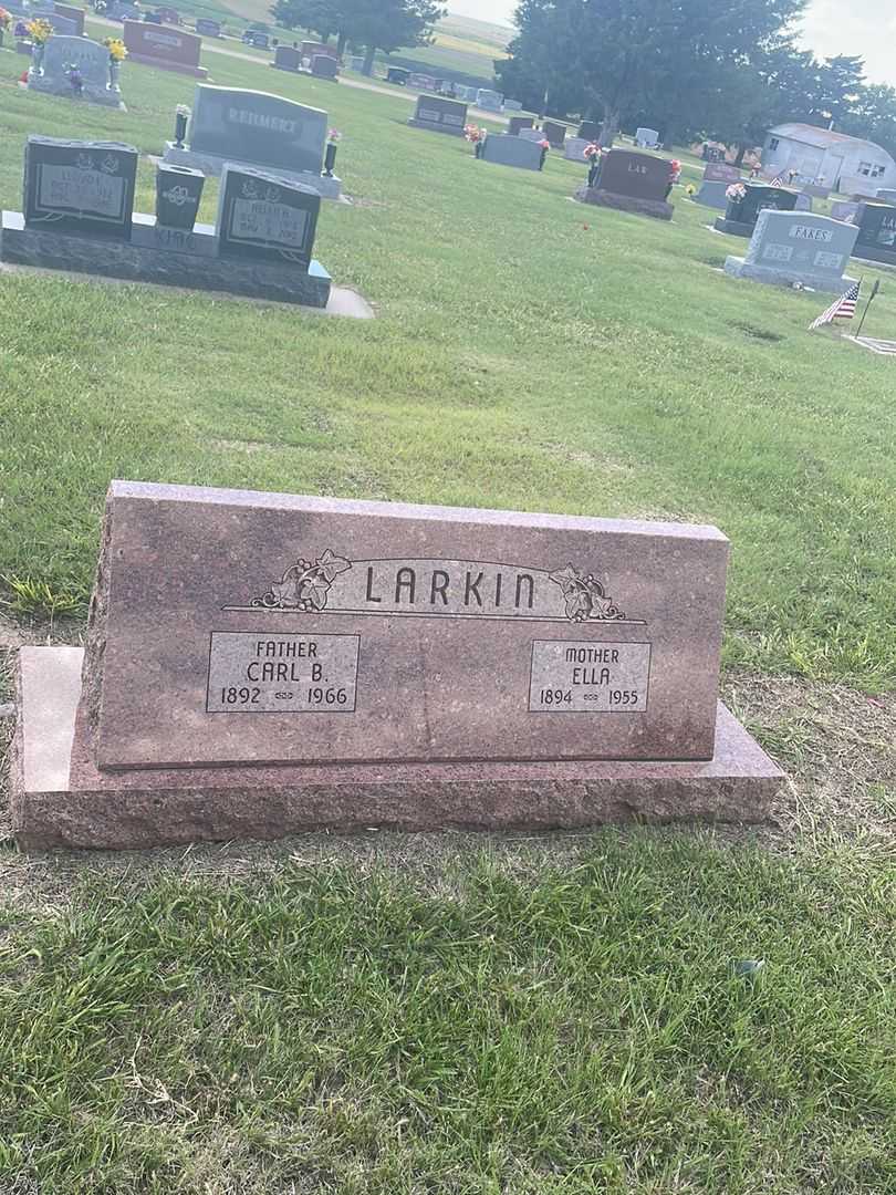 Carl B. Larkin's grave. Photo 2