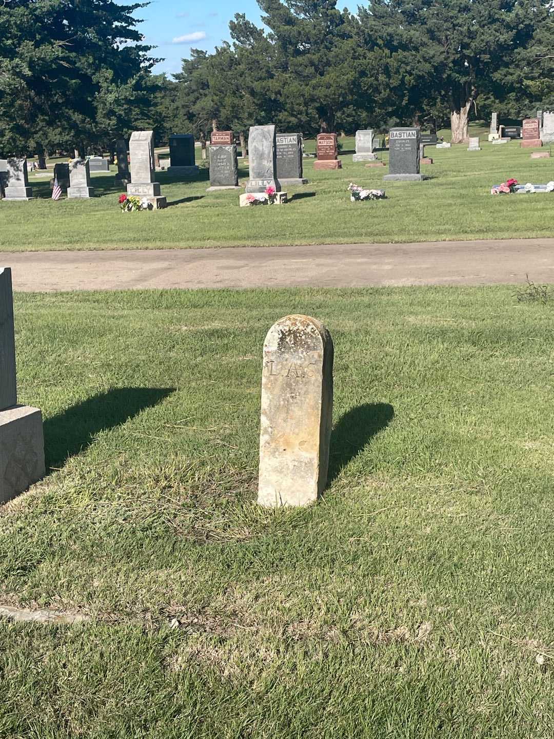 L. A. S.'s grave. Photo 2