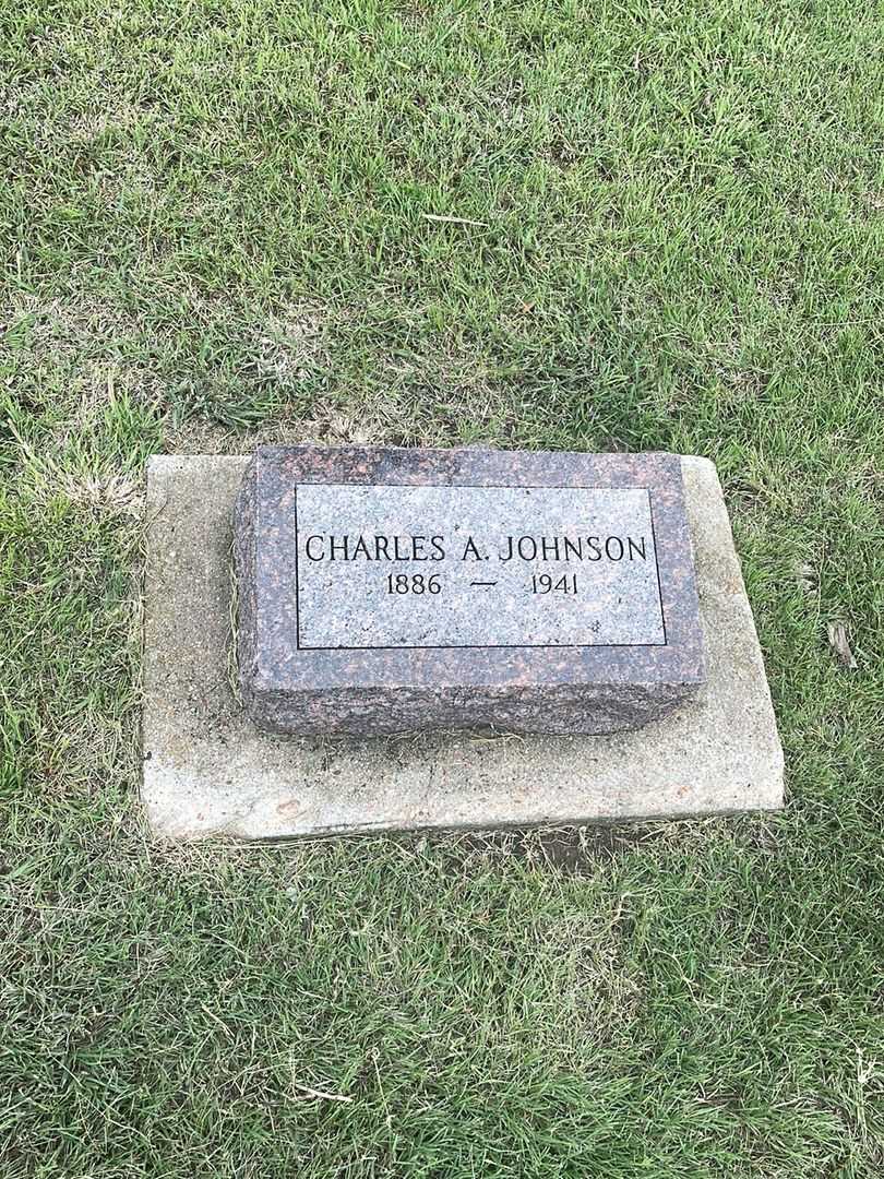 Charles A. Johnson's grave. Photo 2