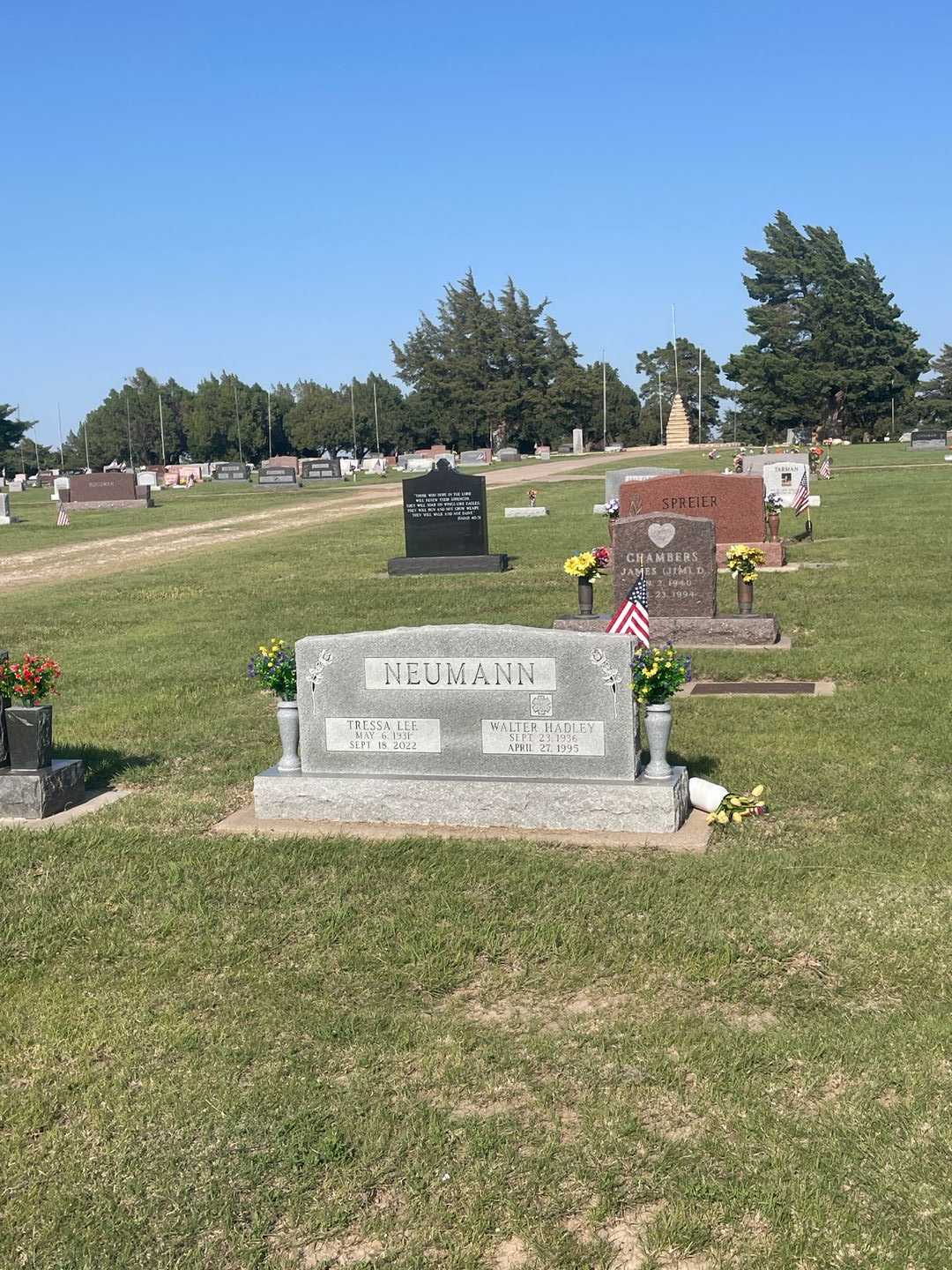Walter Hadley Neumann's grave. Photo 1