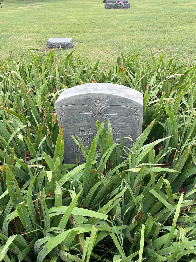 Harry Magill's grave. Photo 2