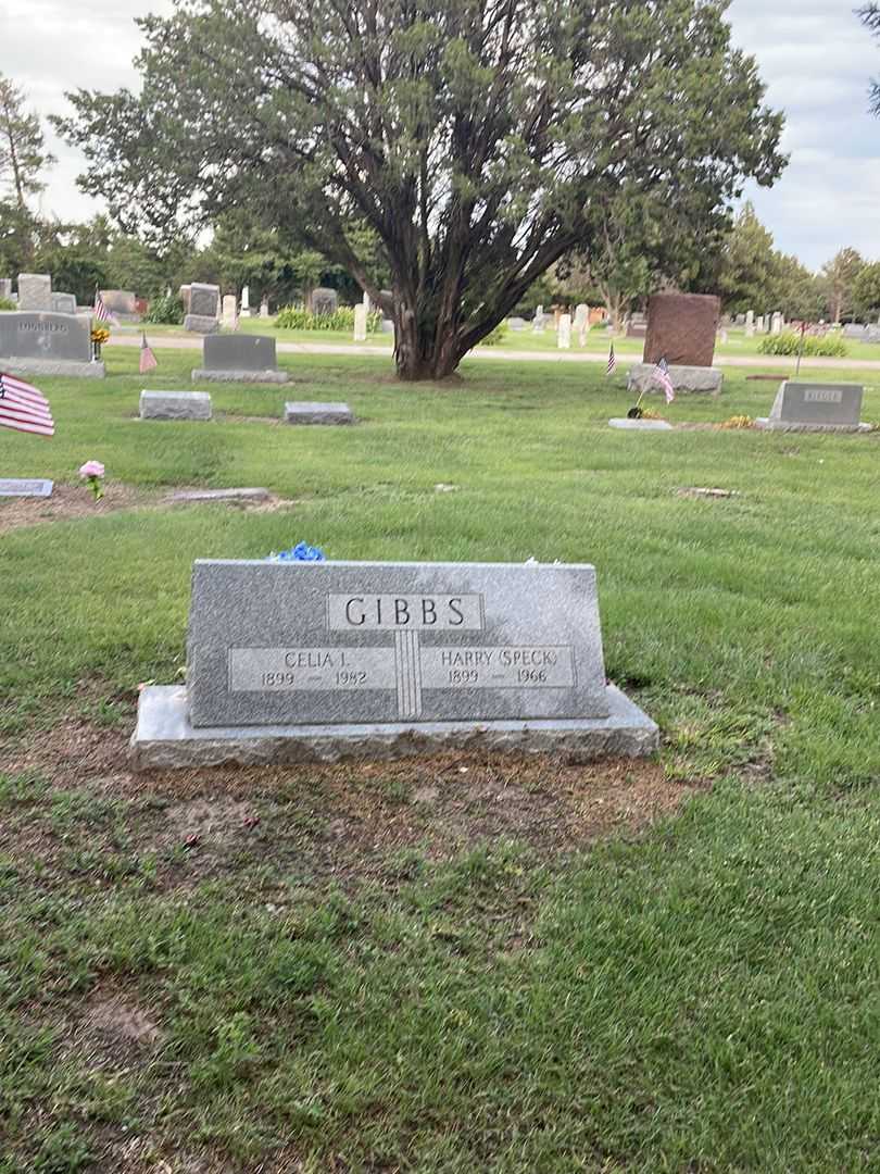 Celia I. Gibbs's grave. Photo 2