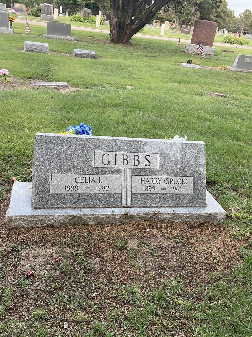 Celia I. Gibbs's grave. Photo 1